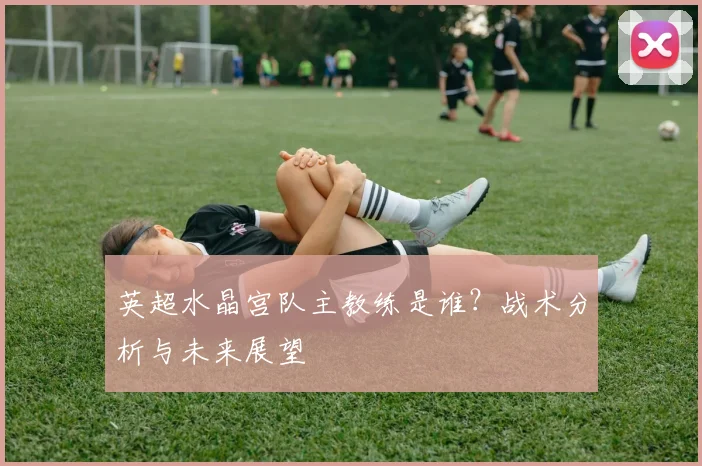 英超水晶宫队主教练是谁？战术分析与未来展望