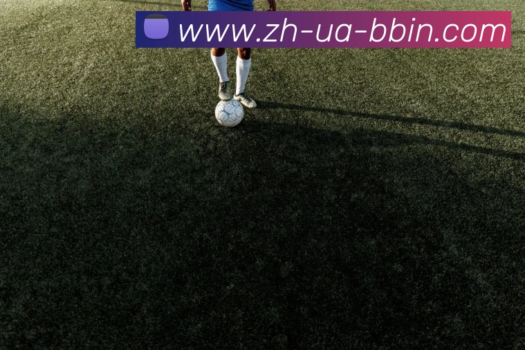 bbin宝盈平台生态图