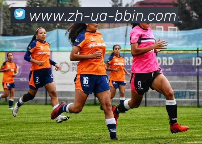 辅助工具 辅助工具